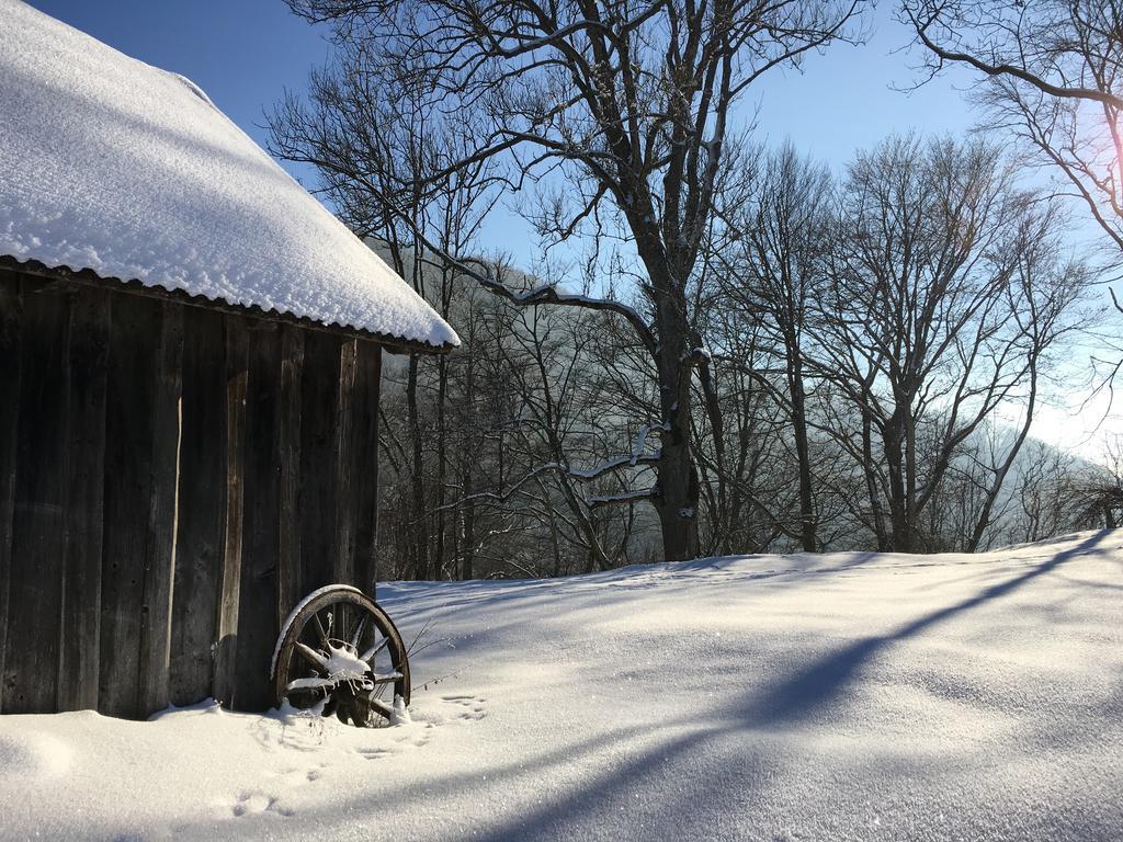Ferienhaus Hochbrand Rabenstein Eksteriør billede